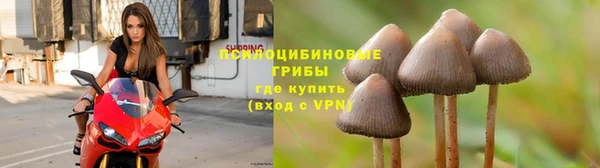 сатива Алексин
