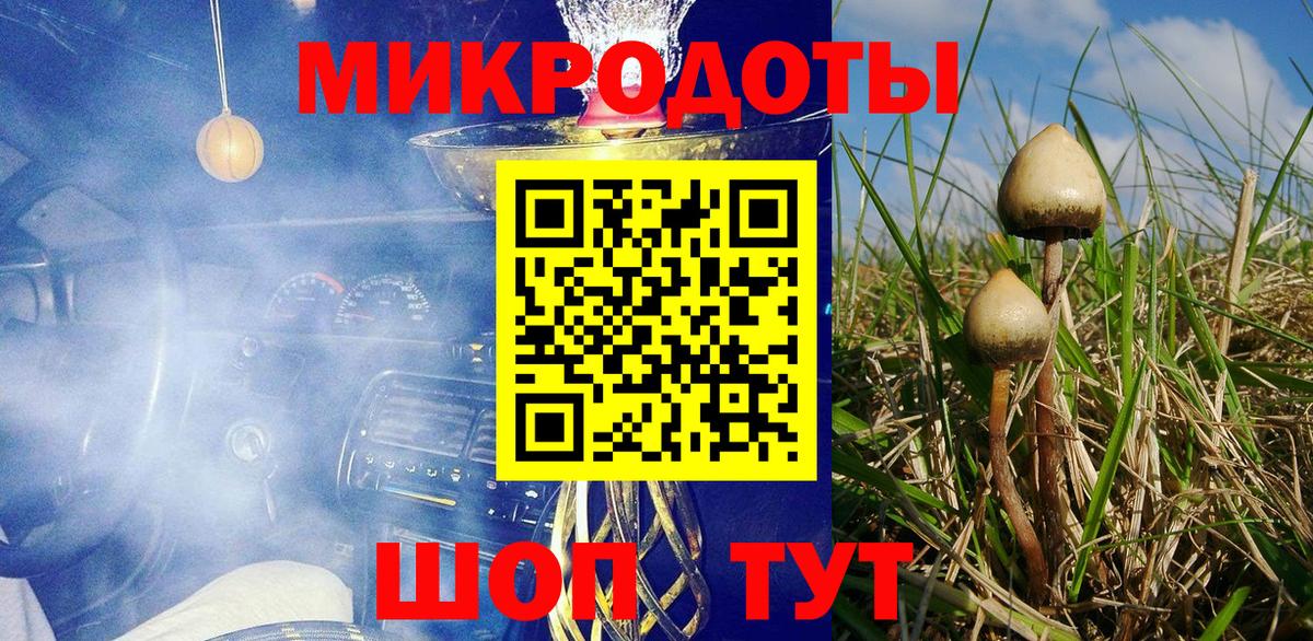 Красноуфимск  Псилоцибиновые грибы Cubensis  Вход с VPN 